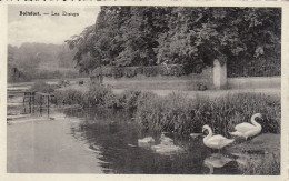 BOITSFORT   LES ETANGS - Ohne Zuordnung