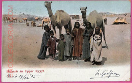 Ag2679 - EGYPT - VINTAGE POSTCARD  - Ethnic -  1905 - Afrika