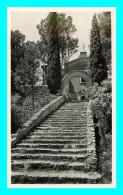 A804 / 451 83 - COTIGNAC Escalier De Louis SIV - Cotignac