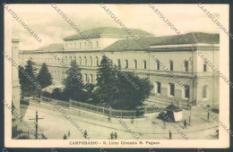 Campobasso Città Scuola Cartolina ZB3295 - Campobasso