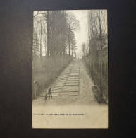 België - Belgique - Belgium - CPA - Grammont - Les Escaliers De La Montagne - Used Card Avec Timbre 1908 - Geraardsbergen