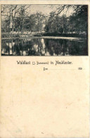 Waldlust In Neukloster - Neukloster