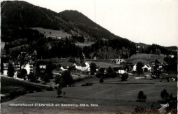 Mürzzuschlag/Steiermark - Steinhaus Am Semmering - - Mürzzuschlag