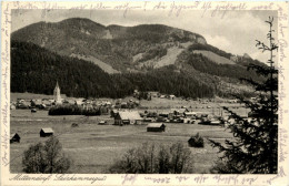 Mürzzuschlag/Steiermark - Mitterdorf Im Mürztal, - Mürzzuschlag