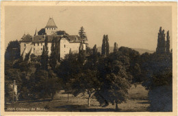 Chateau De Blonay - Blonay - Saint-Légier