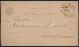 1890 2kr Díjjegyes Levelezőlap "NAGY-ÉCS" - Other & Unclassified