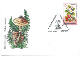 COV 997 - 3155 MUSHROOMS, Romania - Cover - Used - 1993 - Covers & Documents