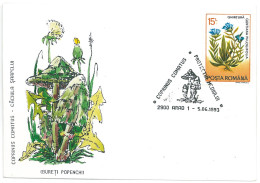 COV 997 - 3156 MUSHROOMS, Romania - Cover - Used - 1993 - Covers & Documents