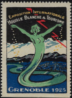 France 1925. Vignette Exposition Internationale De La Houille Blanche Et Du Tourisme à Grenoble, énergie Hydroélectrique - Water