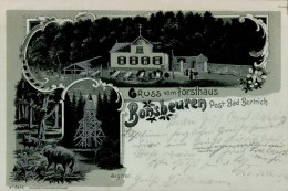 Bonsbeuren (5582) Forsthaus Post Bad Bertrich 1901 I-II - Other & Unclassified