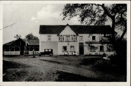 Steinfeld (6749) Gasthaus Zur Bienwaldmühle I - Other & Unclassified