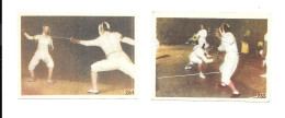 CY11 - VIGNETTES ETOILE DES ALPES - ESCRIME - Fencing