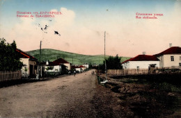 DIMITROVGRAD  (Russland) - Rue Stationelle (Tzaribrod) I-II - Russie