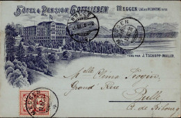 Meggen (Luzern) Hotel Gottlieben 1896 I-II - Autres & Non Classés