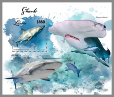 LIBERIA 2023 MNH Sharks Haie S/S – OFFICIAL ISSUE – DHQ2417 - Delfine