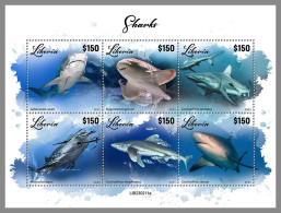 LIBERIA 2023 MNH Sharks Haie M/S – OFFICIAL ISSUE – DHQ2417 - Delfine