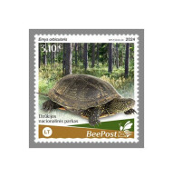 LITHUANIA-BEEPOST 2024 MNH Turtle Schildkröte Emys Orbicularis 1v – PRIVATE OPERATOR – DHQ2417 - Tortues