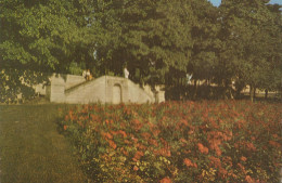 SUCY EN BRIE. - Le Parc De La Mairie - Sucy En Brie