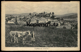 ALTE POSTKARTE LUFTKURORT DAUN EIFEL JUNGE MIT KÜHEN JUNGER MANN KUH KÜHE HIRTE PANORAMA Ansichtskarte AK Cpa Postcard - Daun