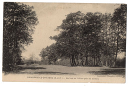 CPA 78 - NEAUPHLE LE CHATEAU (Yvelines) - Les Bois De Villiers Près Les Coulons - Ed. Laumaillier - Neauphle Le Chateau