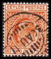 1903-1905. CEYLON. Edward VII. TWO CENTS.  (MICHEL 131) - JF545336 - Ceylon (...-1947)