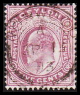 1903-1905. CEYLON. Edward VII. FIVE CENTS.  (MICHEL 134) - JF545339 - Ceylon (...-1947)