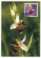 MAX 58 - 664 ORCHID, Romania - Maximum Card - 2007 - Cartes-maximum (CM)