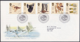 GB Great Britain 1996 FDC Wildfowl, Wetlands, Fowl, Bird, Birds, Swan, Duck, Goose, Pictorial Postmark, First Day Cover - Lettres & Documents