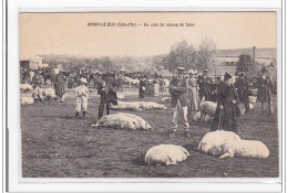 ARNAY-le-DUC : Un Coin Du Champ De Foire - Tres Bon Etat - Arnay Le Duc