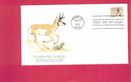 FDC - Lettre De 1981 Des USA EUAN - YT N° 1330 - Antilope - Pronghorned Antelope - Wild