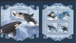 Mozambique 2018 - ORQUES - BL + BF - Michel 42,00 Eur.  - MNH - Dolphins