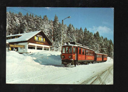 La Givrine Sur Saint-cergue Hotel Et Train - Saint-Cergue