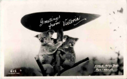 Greetings From Victoria - Koala Bear - Autres & Non Classés