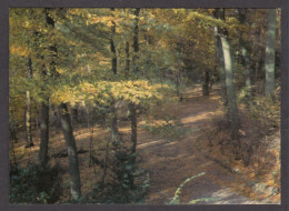 108826/ NIJMEGEN, Mariënbosch, Herfst  - Nijmegen