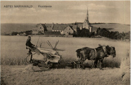 Abtei Mariawald Bei Heimbach - Fruchternte - Düren