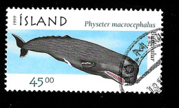 1999 Sperm Whale  Michel IS 906 Stamp Number IS 874 Yvert Et Tellier IS 859 Stanley Gibbons IS 916 Used - Oblitérés