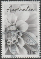 AUSTRALIA - USED 2024 $1.50 Special Occasions - Dahlia - Flower - Used Stamps