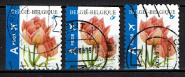 België OBP 3723 - Bloemen, Fleurs Tulp, Tulipe - Uit Boekje B82 A Prior Int. - Used Stamps