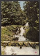 100552/ BASSIN DE SAINT-FERRÉOL, Les Trois Cascades Dans Le Parc - Saint Ferreol