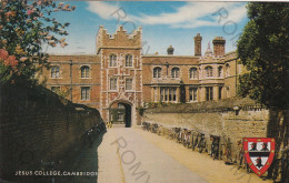 CARTOLINA  C9 CAMBRIDGE,CAMBRIDGESHIRE,INGHILTERRA,REGNO UNITO-JESUS COLLEGE-VIAGGIATA 1986 - Cambridge