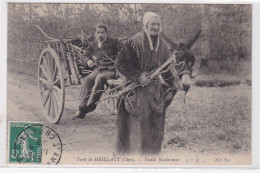 Foret De MEILLANT : Vieille Bucheronne - Bon état (une Charnière Au Dos) - Meillant