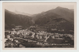 AMELIE LES BAINS - PYRENEES ORIENTALES - AMELIE LES BAINS DANS SON NID - Amélie-les-Bains-Palalda