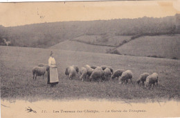 LES  TRAVAUX  Des  CHAMPS,,,,LA  GARDE  Du TROUPEAU,,,,,VOYAGE  1908,,,BE,,, - Breeding