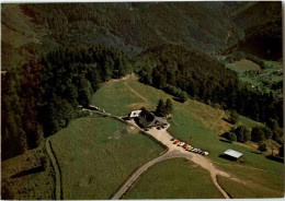 Münstertal - Almgaststätte - Münstertal