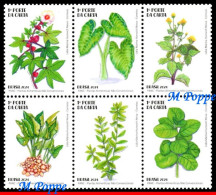 Ref. BR-V2024-03 BRAZIL 2024 - UNCONVENTIONAL FOOD PLANTS, PANC, FLOWERS & PLANTS, SET MNH, 6V, SET MNH - Neufs