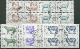 Bulgarien 1991 Haustiere: Henne, Bulle, Puter 3881/85 Viererblock Gestempelt - Gebraucht