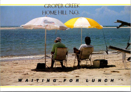 28-4-2023 (3 Z 16) Australia - QLD - Waiting For Lunch (Groper Creek) Home Hill - Far North Queensland