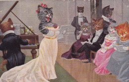 Arthur Thiele.Cat Singing.TSN Nr.1852(6 Dess) - Thiele, Arthur