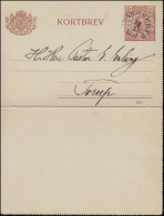 Kartenbrief K 15 KORTBREV 15 Öre Mit DV 919, Gelaufen 29.5.1920, Karte Ohne Rand - Postal Stationery