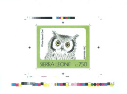 1992 Sierra Leone Animals Birds Raptors White Faced Owl Otus Leucotis - Rare Imperf Proof Essay Trial - Owls